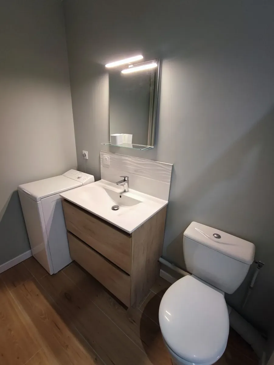 Salle de bain aux murs peints, meuble vasque en bois clair, miroir avec éclairage et WC